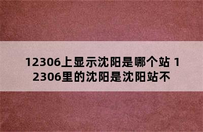 12306上显示沈阳是哪个站 12306里的沈阳是沈阳站不